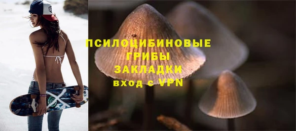 хмурый Кулебаки