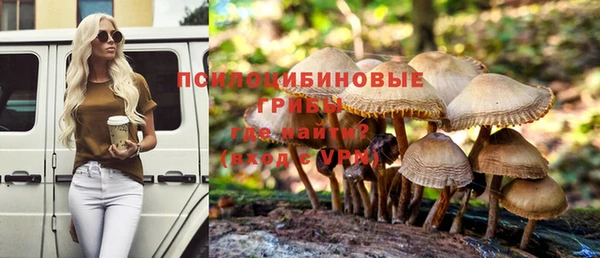 хмурый Кулебаки