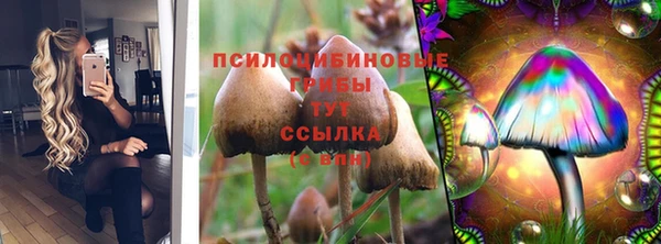 стафф Куйбышев