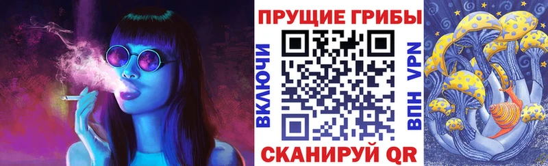 Галлюциногенные грибы ЛСД  наркотики  даркнет телеграм  Заречный 