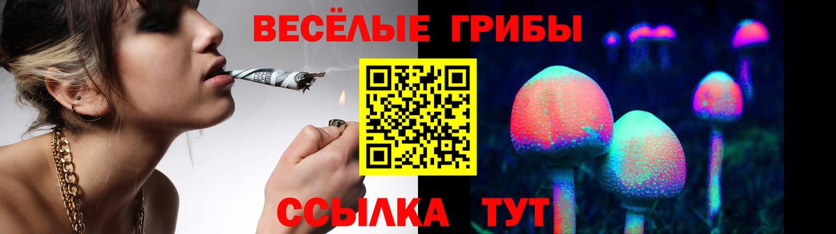 Псилоцибиновые грибы GOLDEN TEACHER  Псилоцибиновые грибы Magic Shrooms  Вход с VPN  Заречный 